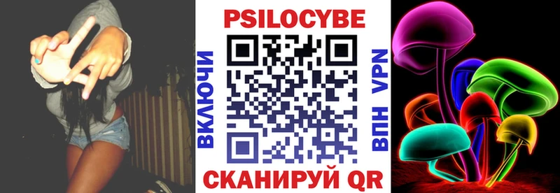 Купить закладки  Волхов  Галлюциногенные грибы Cubensis 